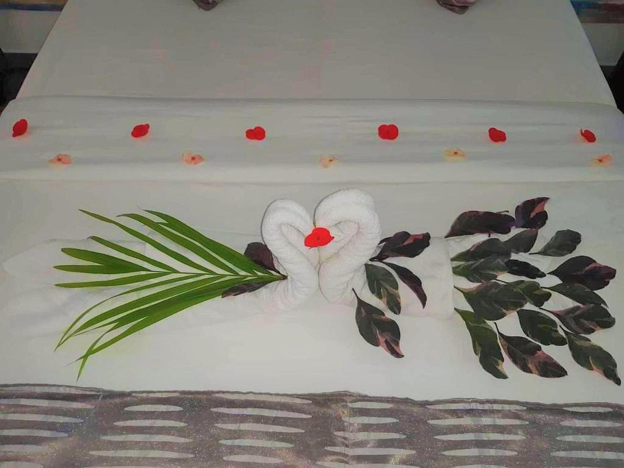 Bed and Breakfast Stella Rina "Adults Only" Grand Baie Exterior foto